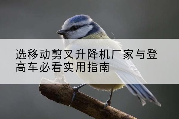 宁国电动升降机厂家-选移动剪叉升降机厂家与登高车必看实用指南