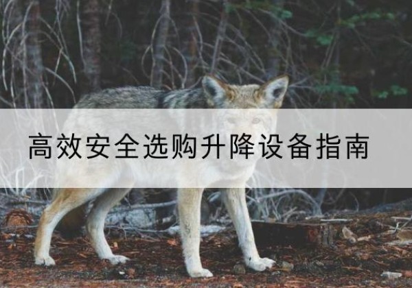 宁国升降货梯厂家推荐-*安全选购升降设备指南