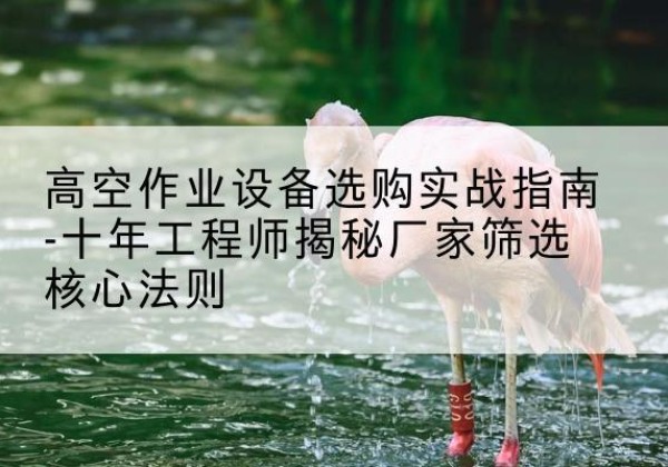宁国剪叉式升降机厂家-高空作业设备选购实战指南-十年工程师揭秘厂家筛选核心法则